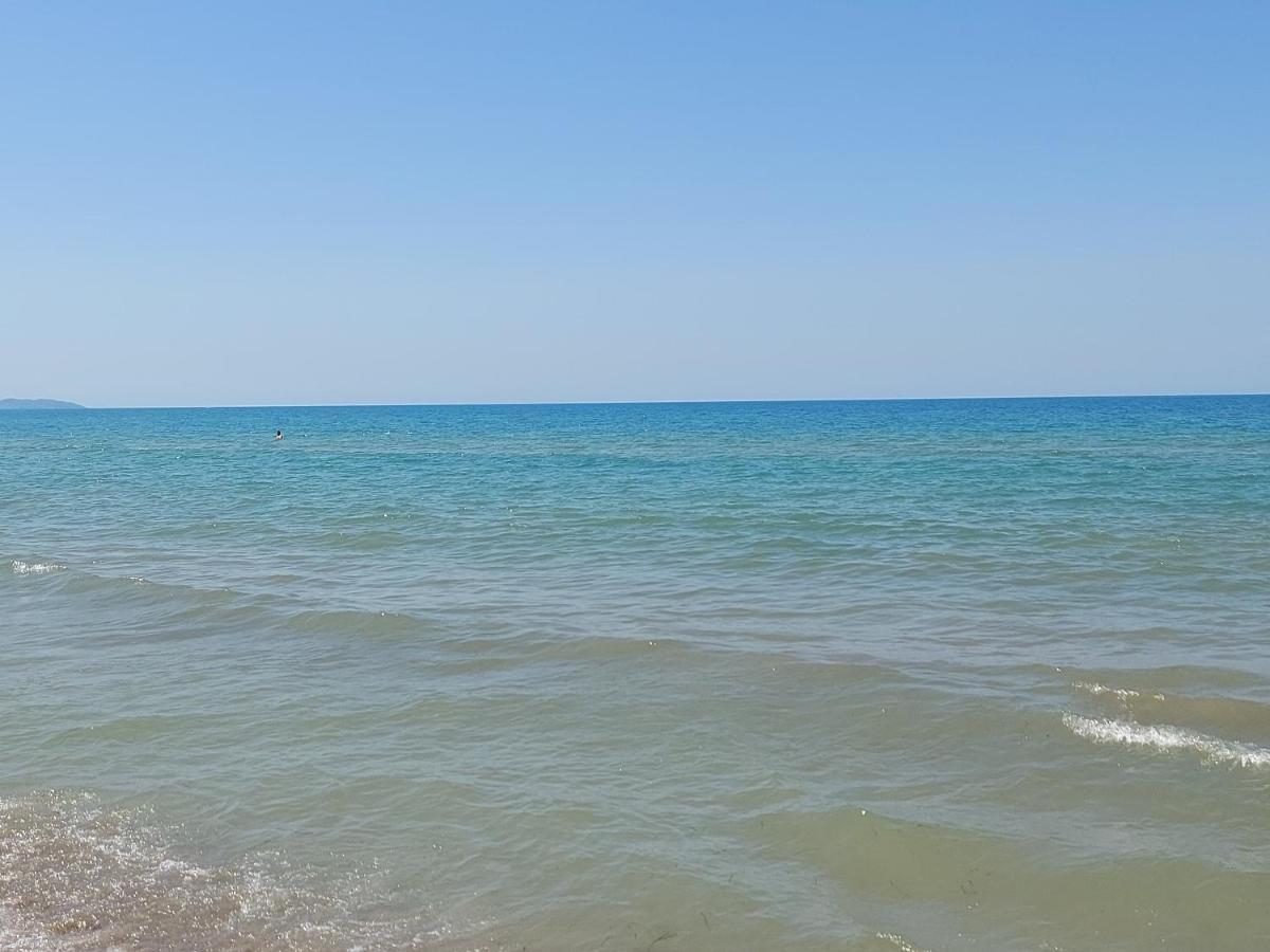 Golden Beach Apartments دراس المظهر الخارجي الصورة